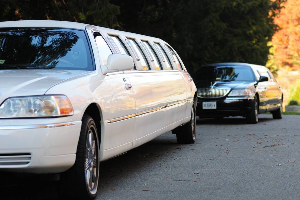 Richmond Limousine