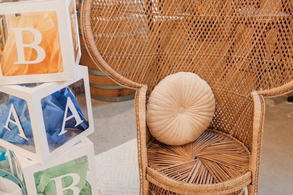 Peacock Chair & Pillow