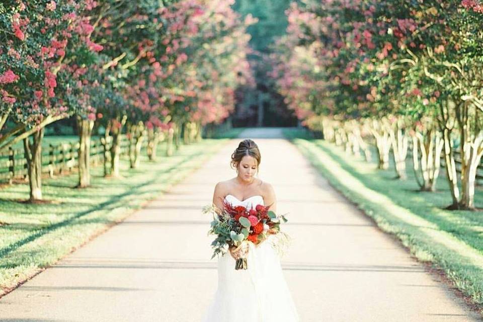 Nicole at rose hill plantation in nashville nc