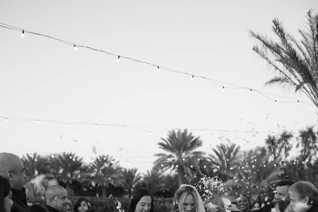 Wedding