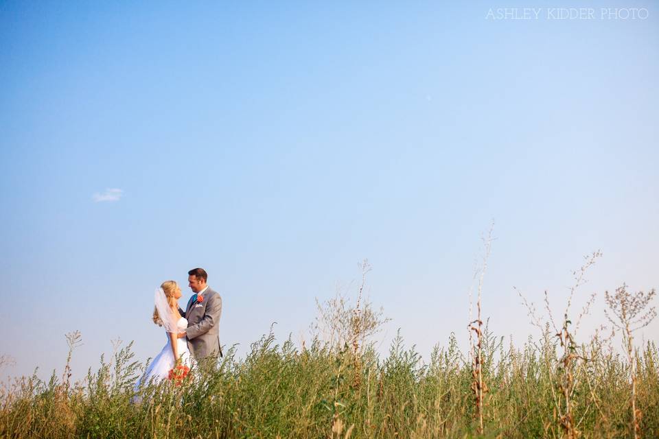 Wallabee weddings