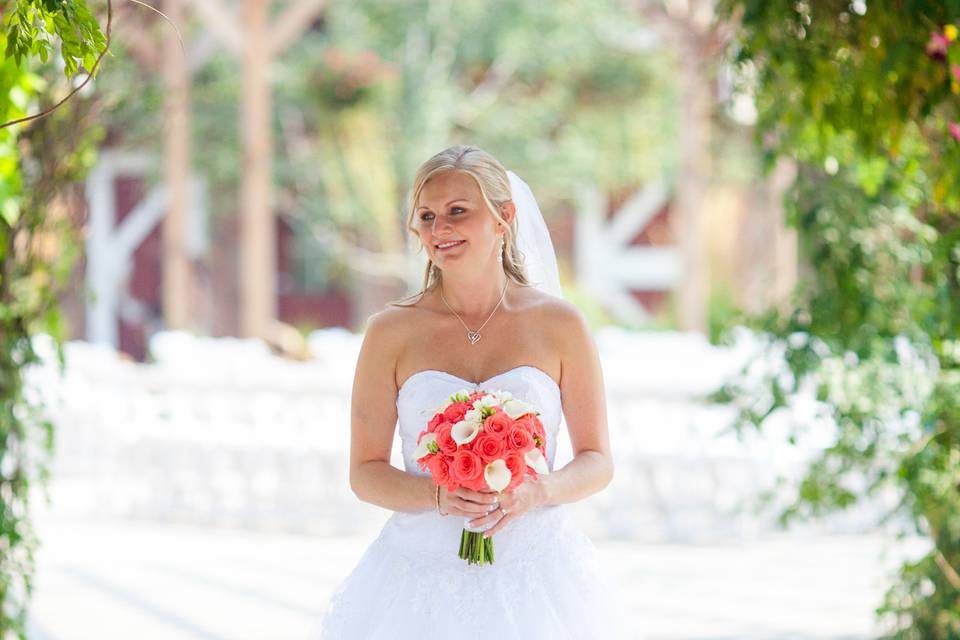 Wallabee weddings