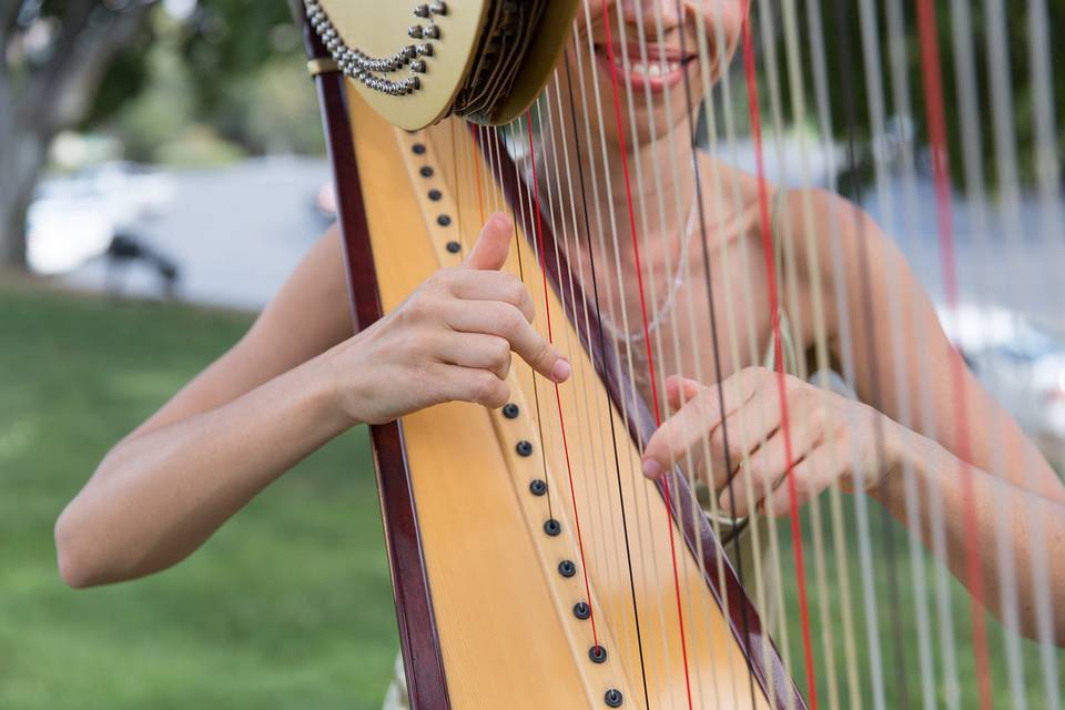 Harpist