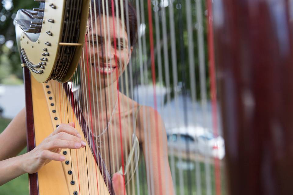 Harpist