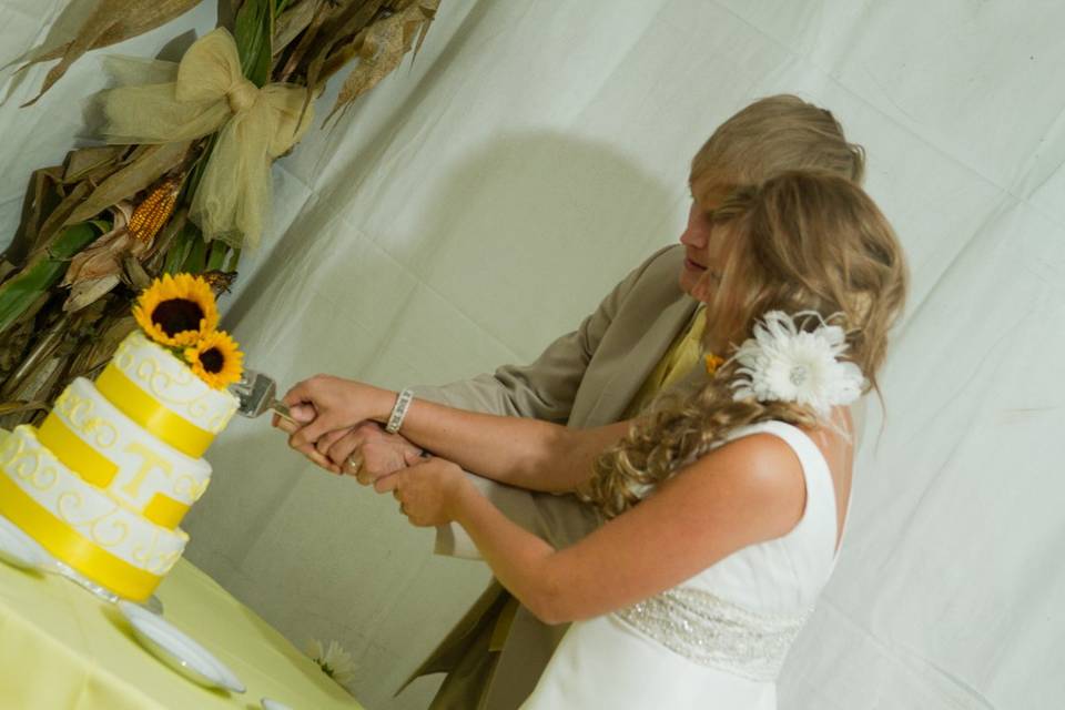 Cutting cake