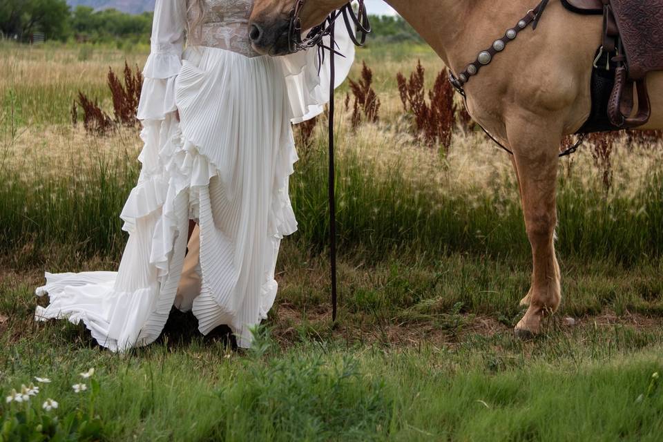 Clean and Simple Photography