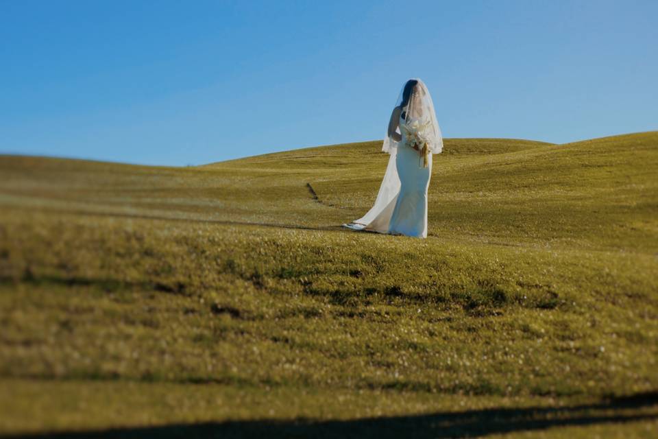 Lomax Wedding Films
