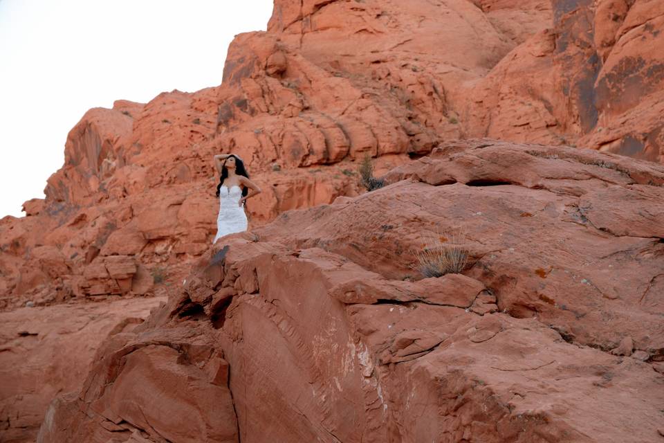 Lomax Wedding Films