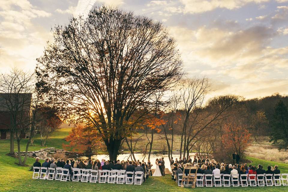 Late November Ceremony