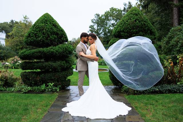 Vinny Alves Photography