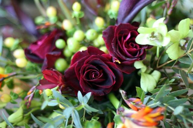 Deep-hued roses
