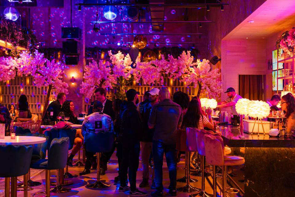 The Villa Bar Night Shot