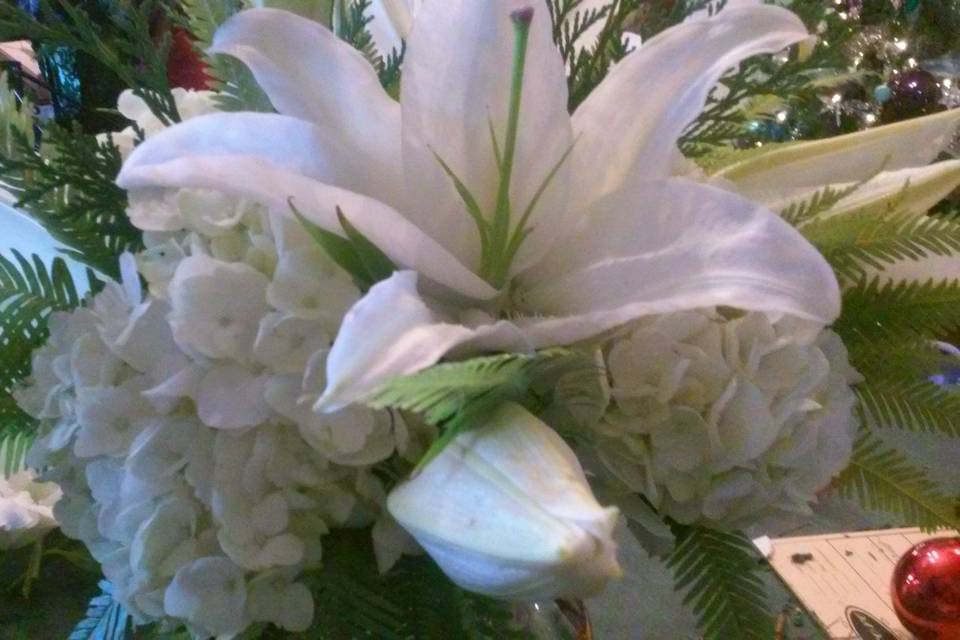 Beach Blossoms