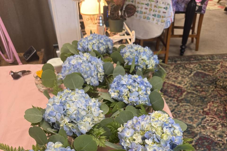 Blue hydrangea.
