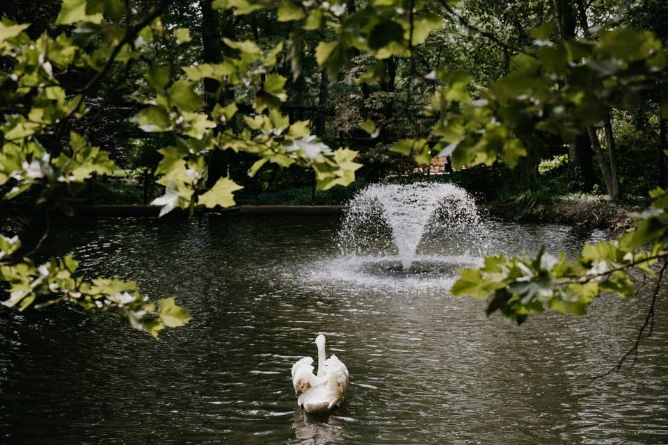 Tyler Boye Photography