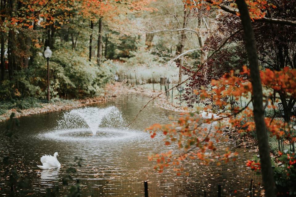 Tyler Boye Photography