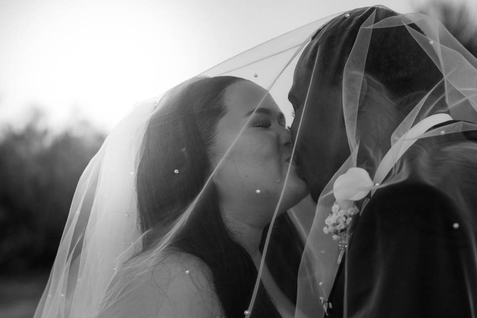 The couple with the Veil