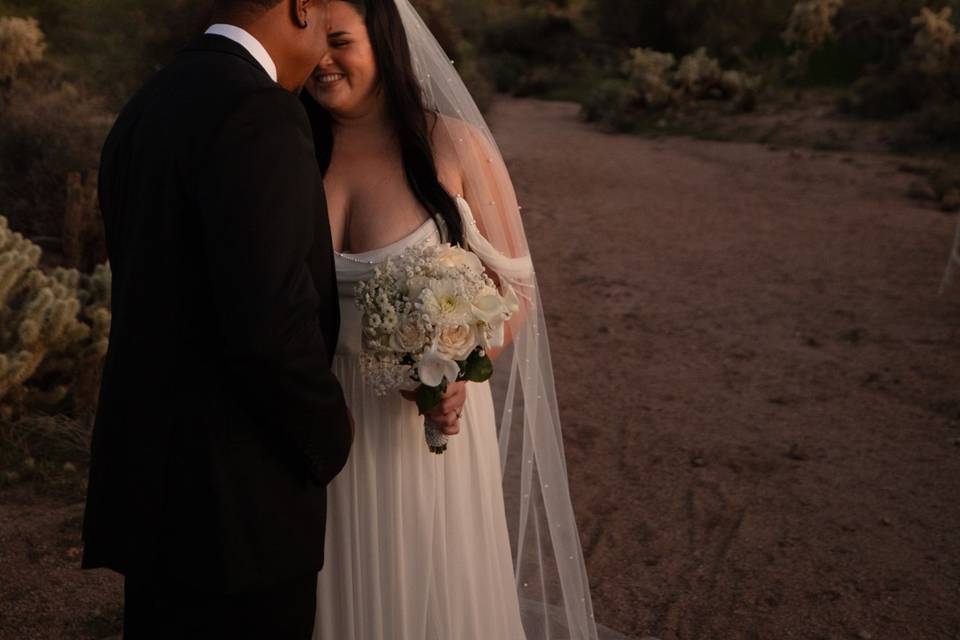Superstition mountains