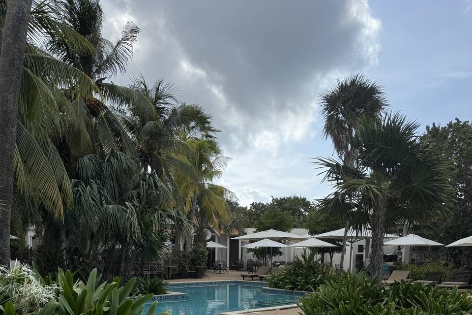 Lush pool areas