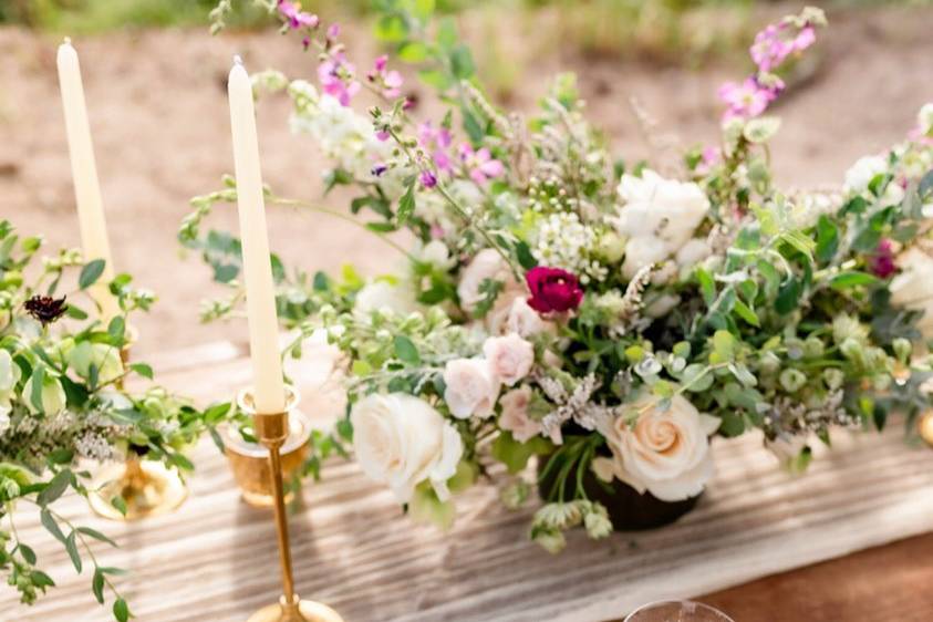 Mount Lemmon Reception