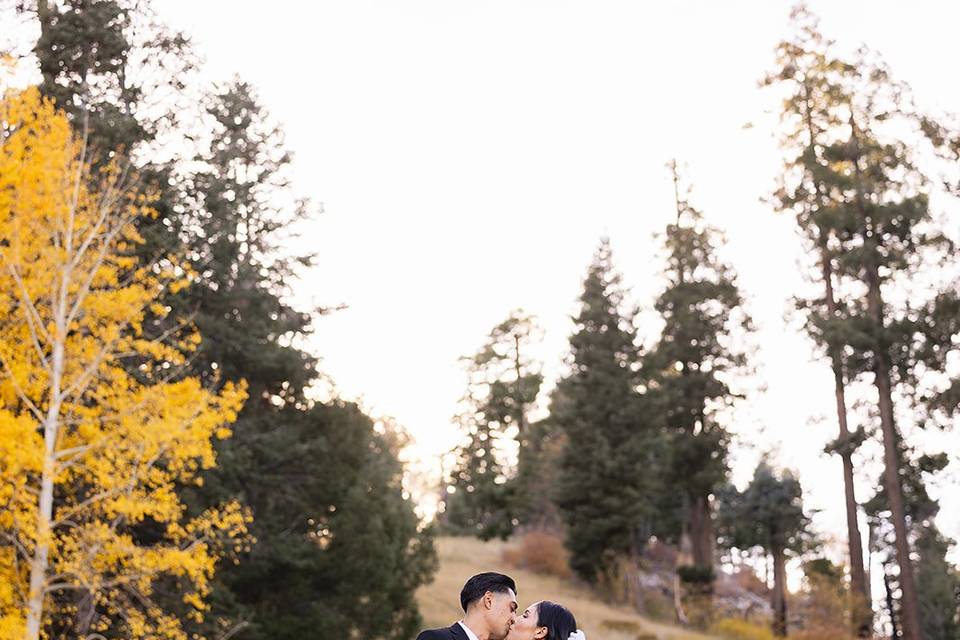 Mount Lemmon