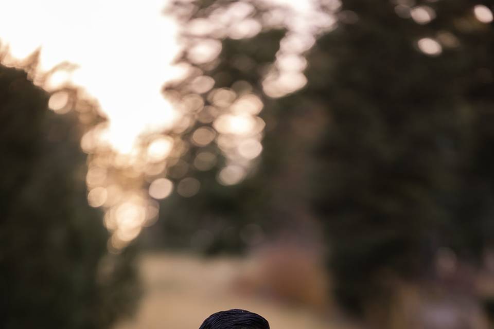 Mount Lemmon