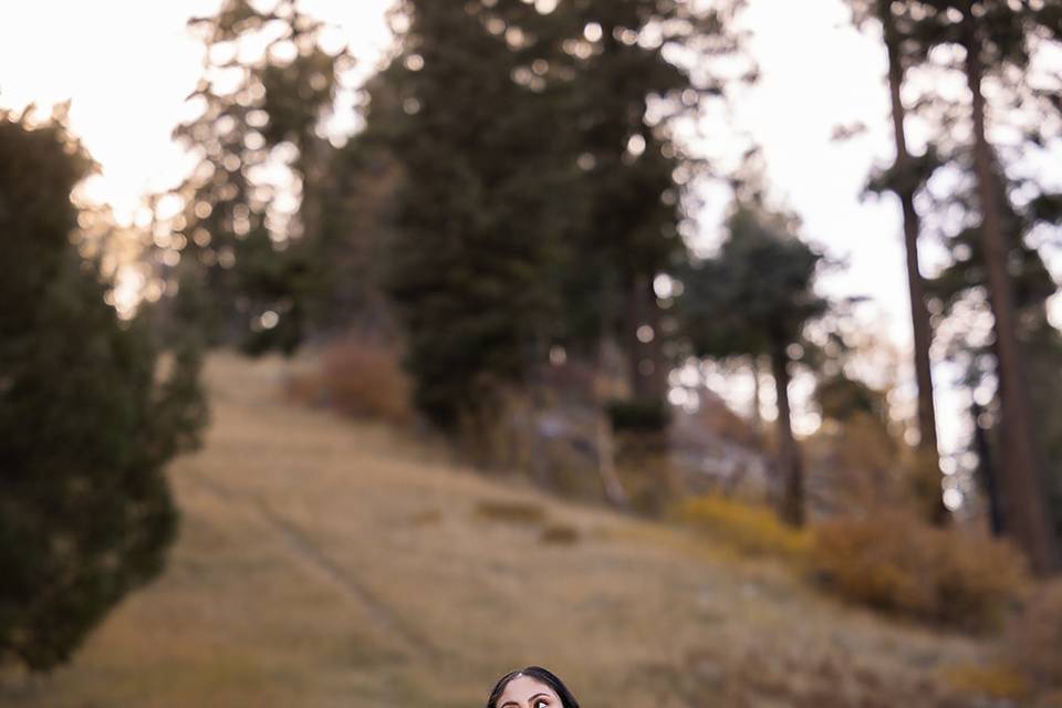 Mount Lemmon