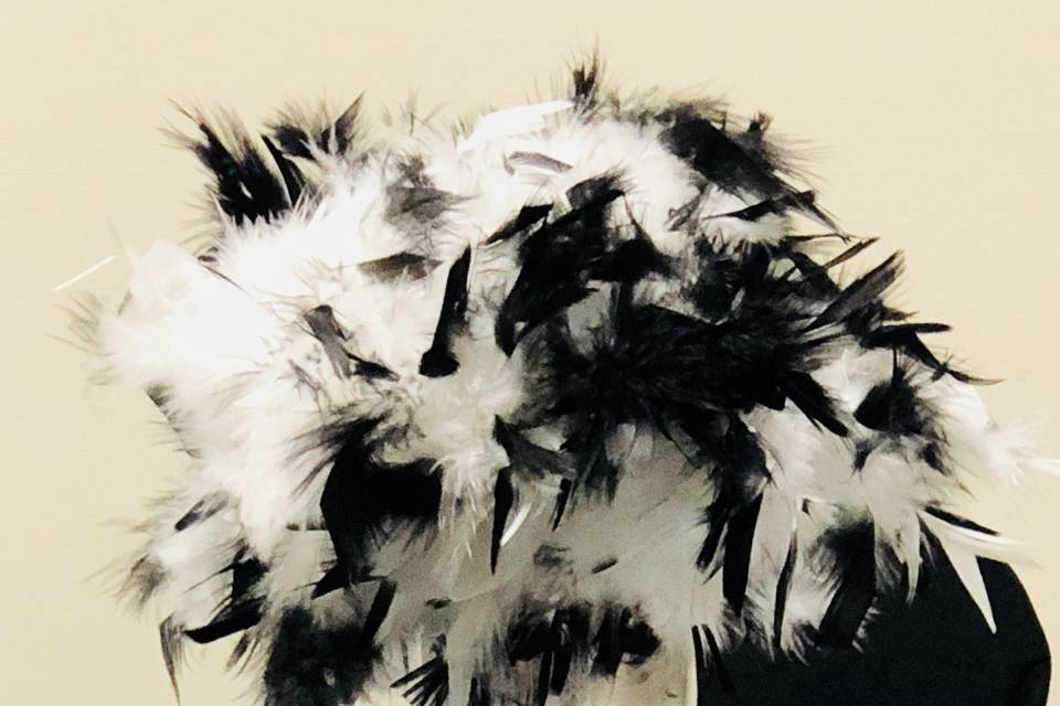 White and black feathers