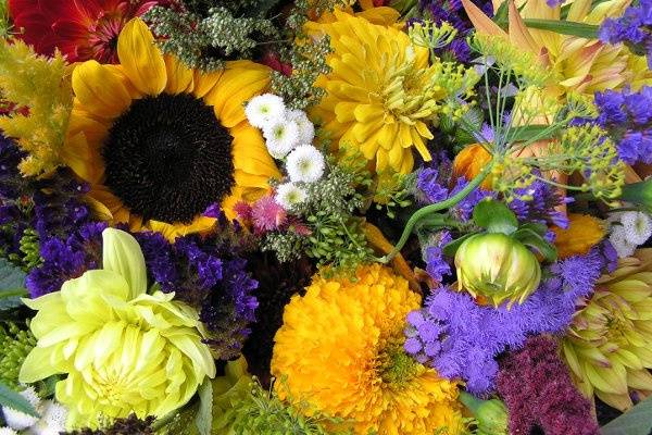 Everyday Flowers