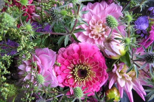 Everyday Flowers
