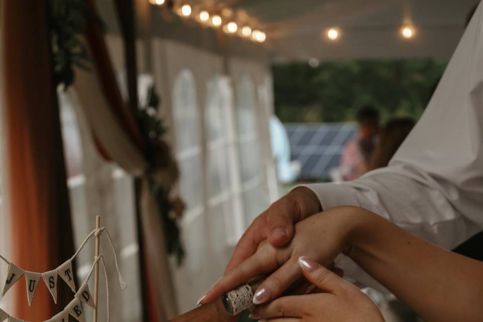 Cake cutting