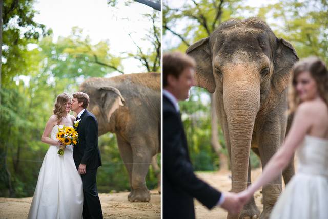 Robin McKerrell Photography