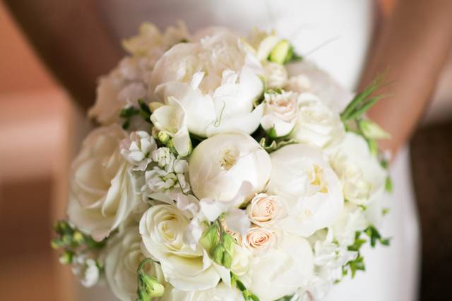Robin McKerrell Photography