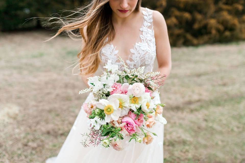 Wild Hill Flowers and Events