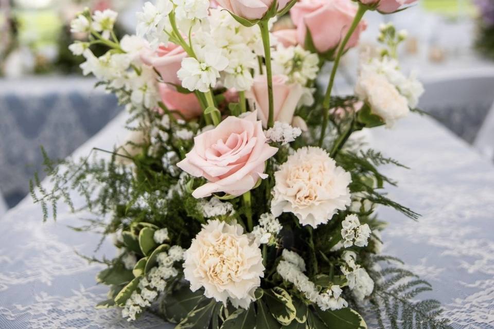 Blush low compote