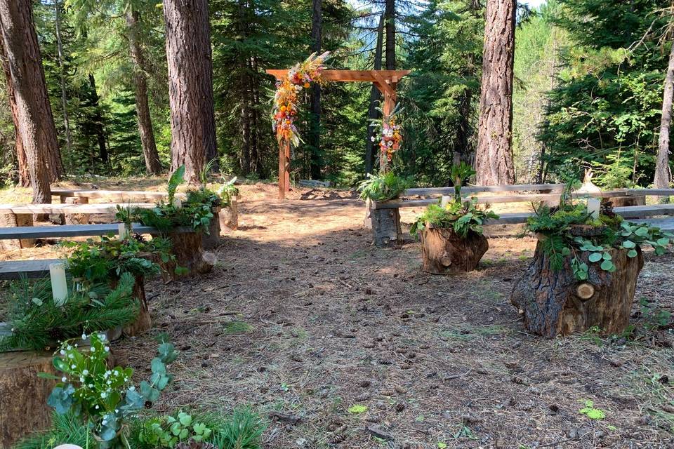 Forest Wedding