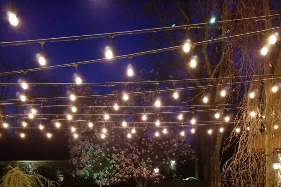 Garden Lights