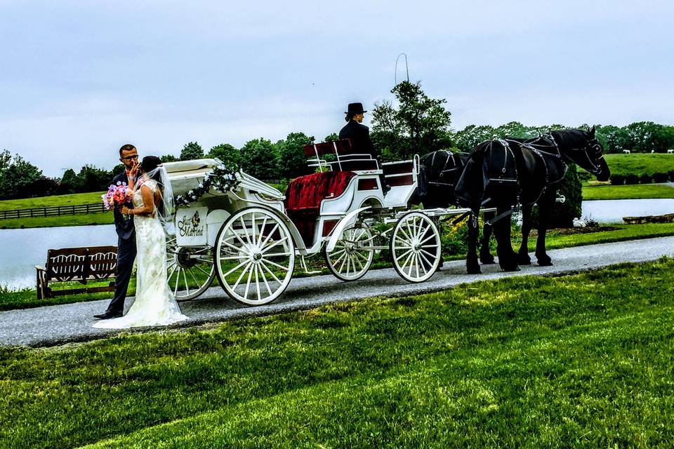 Our lovely wedding carriage is a great choice  for a traditional look.