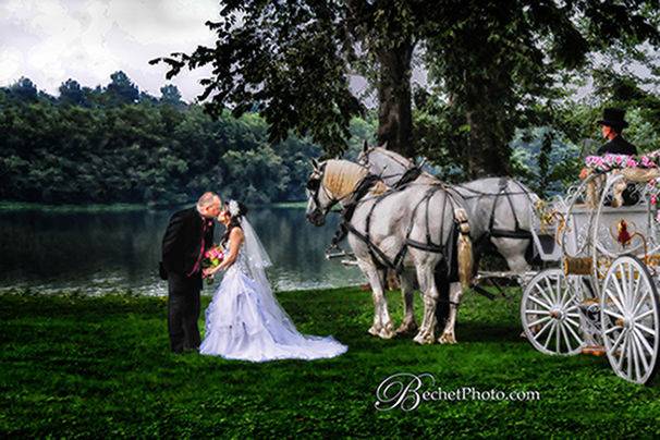 Add a touch of magic to your wedding with our stunning Cinderella carriage.