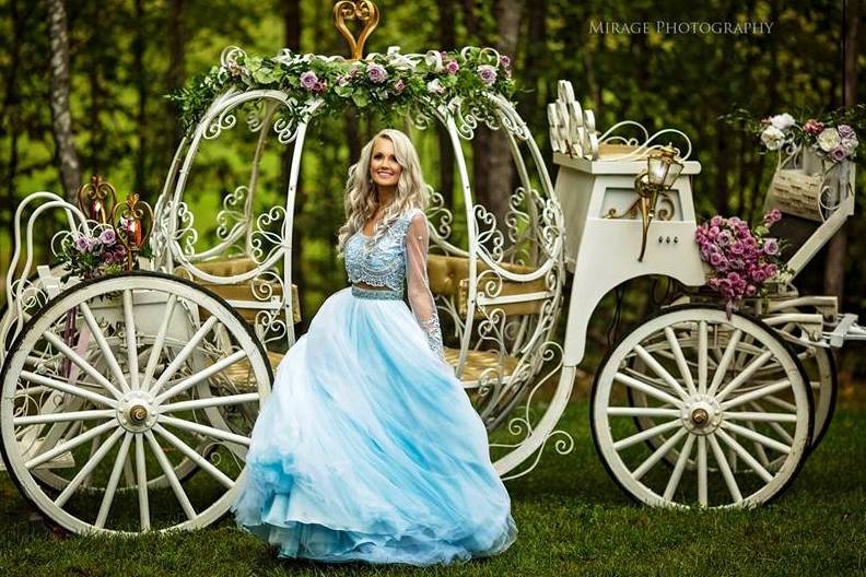 The Shenandoah Carriage Company, LLC