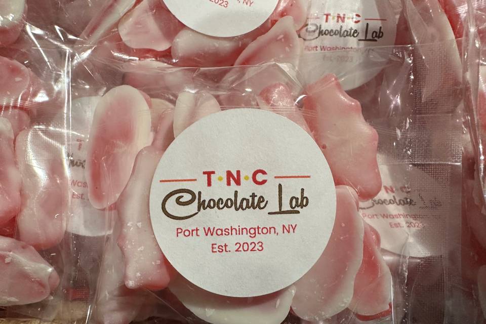 TNC Chocolate Lab