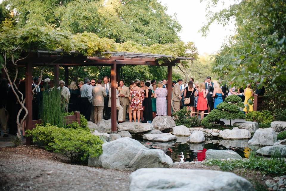 Wedding guests