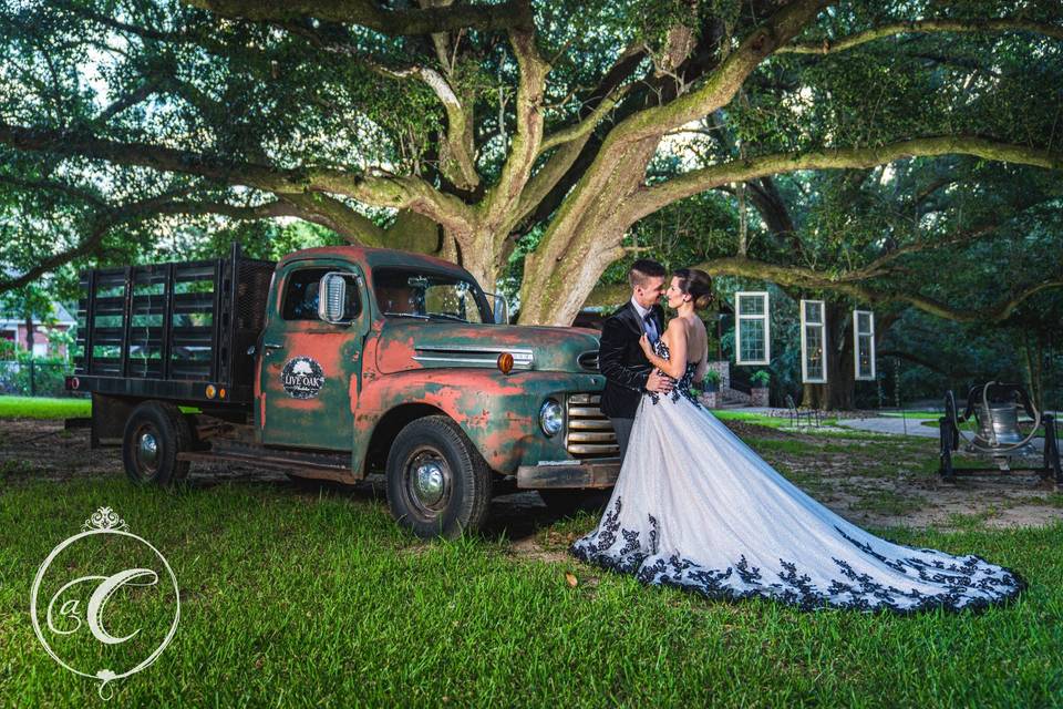 Live oak wedding photorpahers