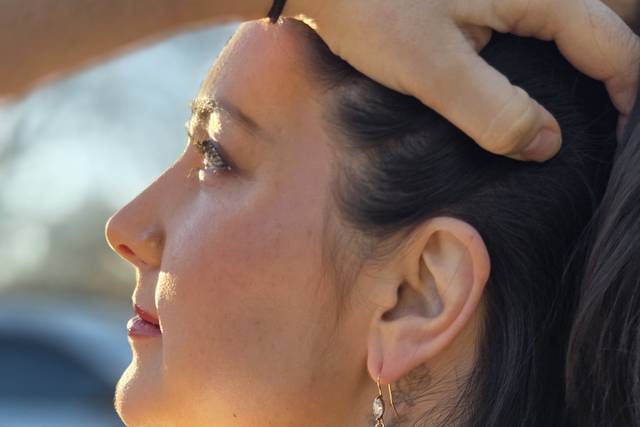 R. Lagunas Collection