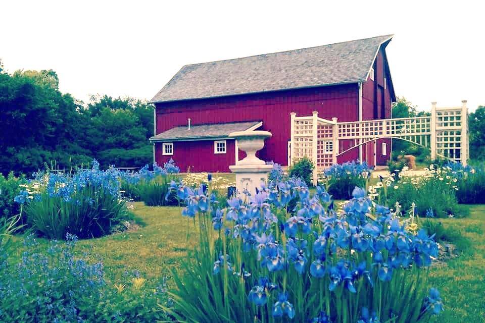 Barn photos