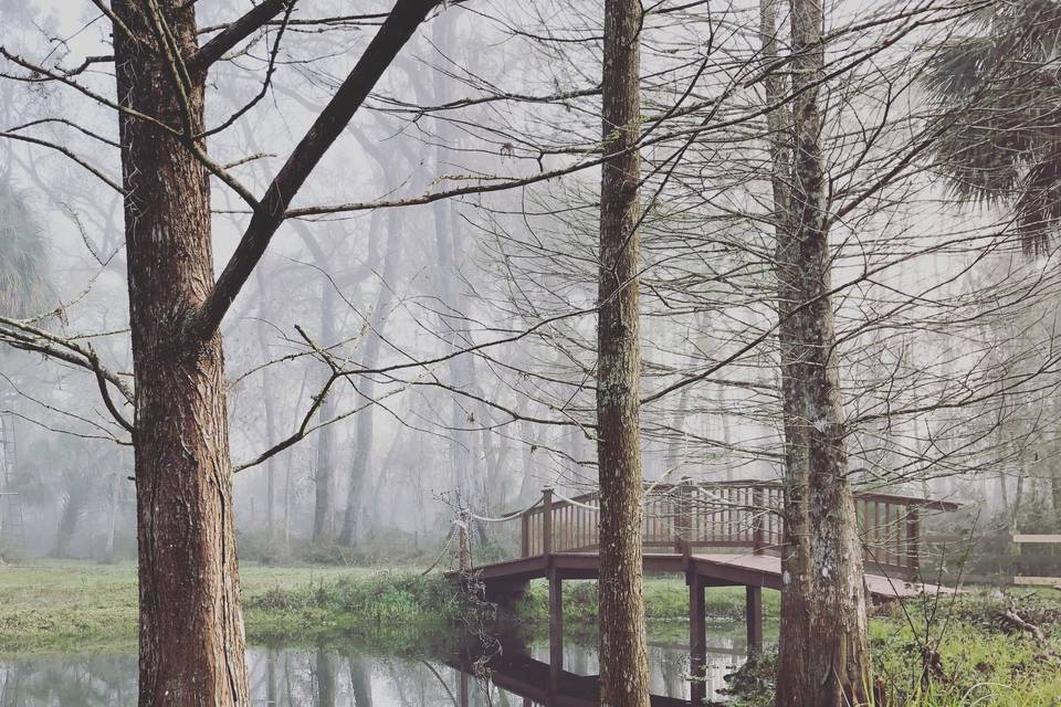 Bridge in the misty woods