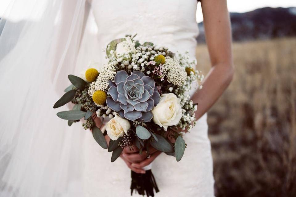 Colorado Winter Wedding