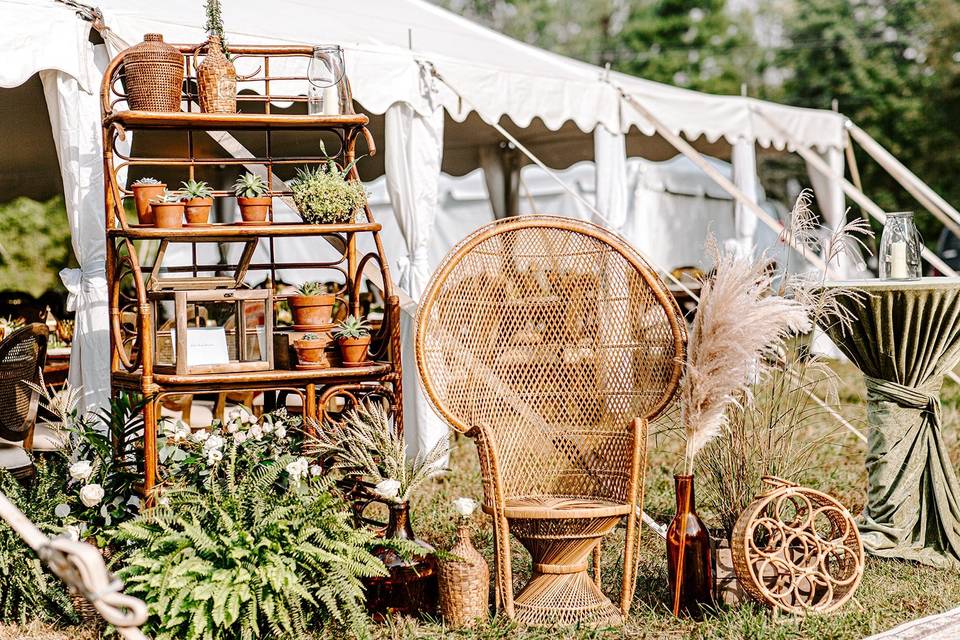 Boho Peacock Chairs