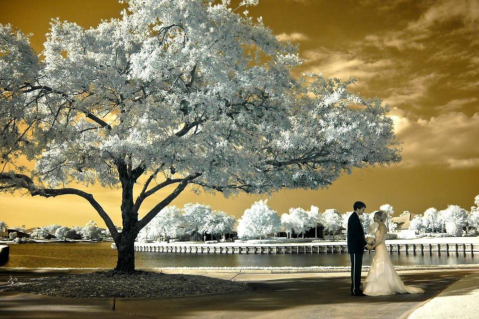 Another dramatic infrared image captured following their nuptials in Florida