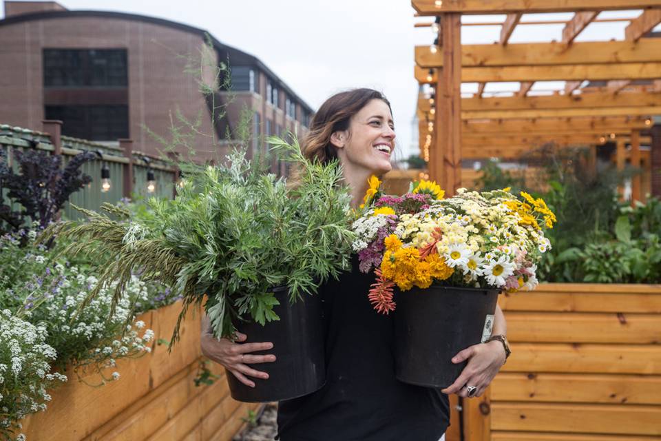 Wedding flowers